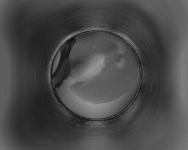 X0000095681246200801291150