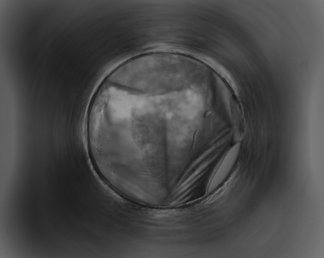 X0000095681247200801291150