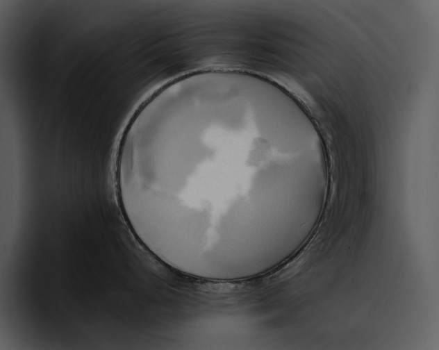 X0000095681248200801291150