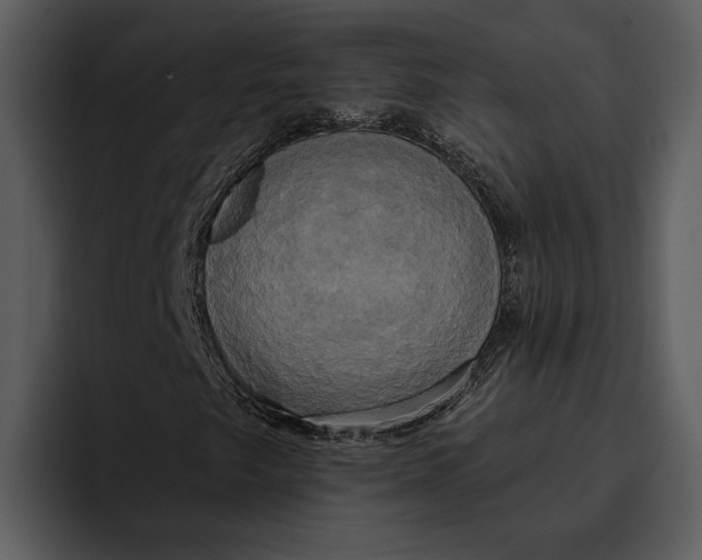 X0000095681249200801291150