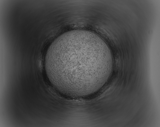 X0000095681250200801291150