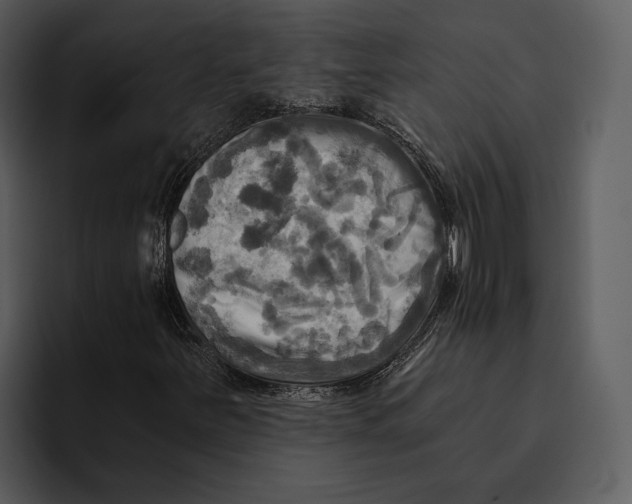 X0000095681251200801291150