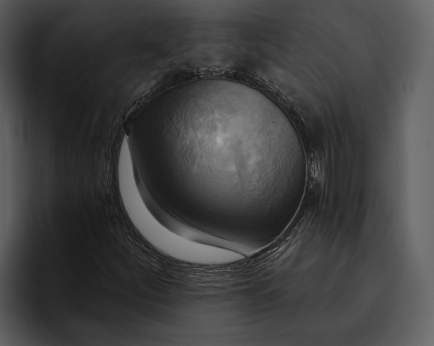 X0000095681252200801291150