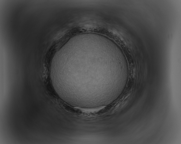 X0000095681253200801291150