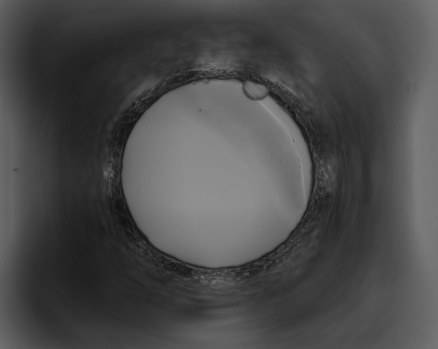 X0000095681254200801291150