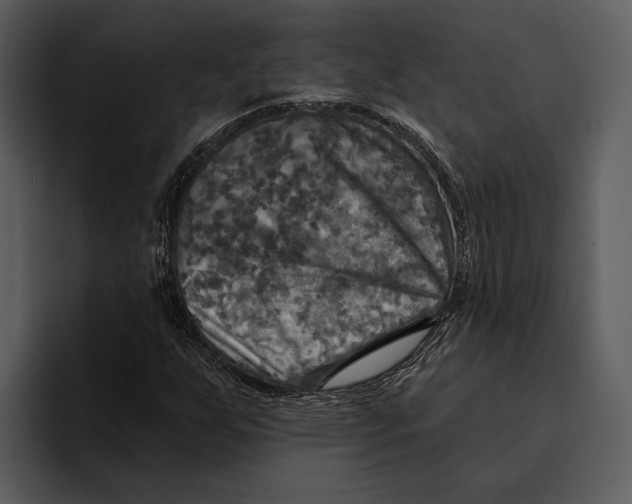 X0000095681255200801291150