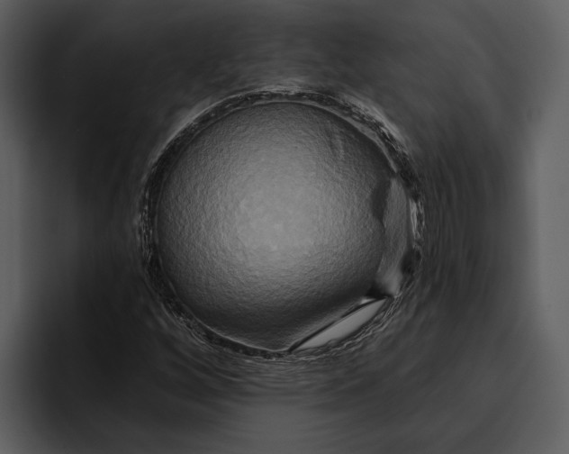 X0000095681256200801291150