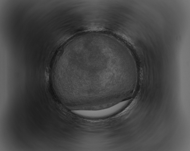 X0000095681257200801291150