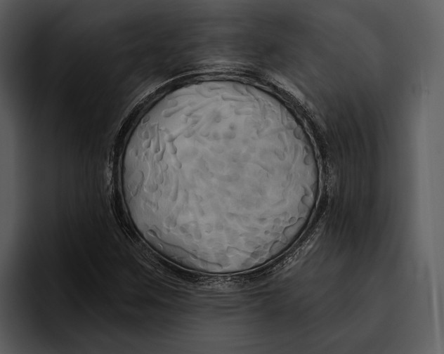 X0000095681259200801291150