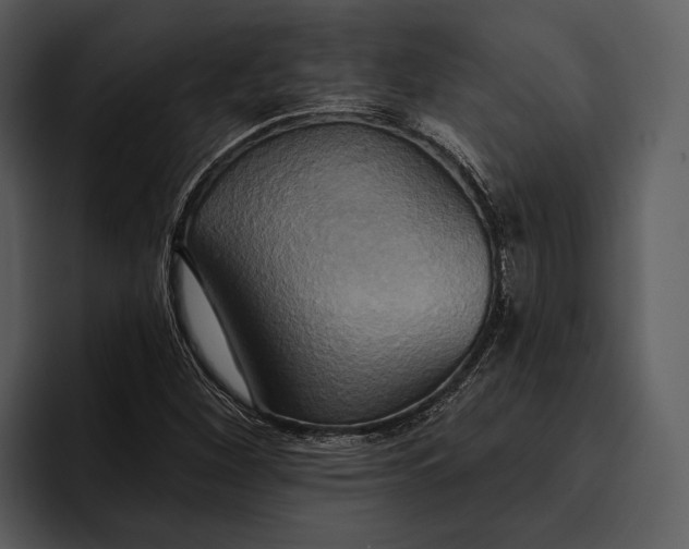 X0000095681260200801291150