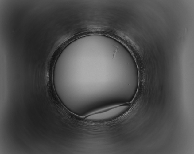 X0000095681261200801291150