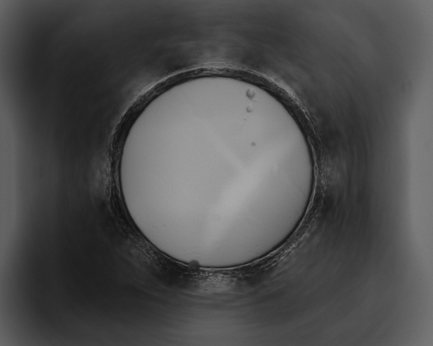 X0000095681263200801291150