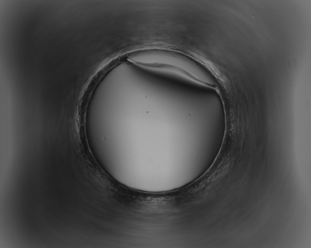 X0000095681264200801291150