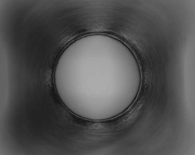 X0000095681265200801291150