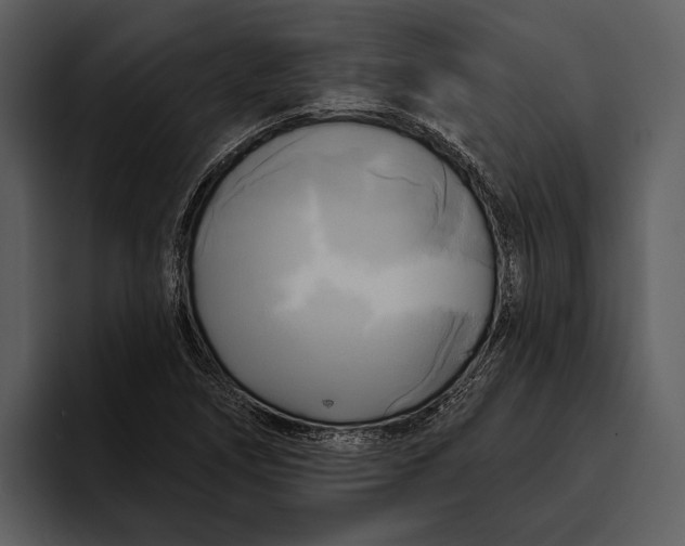 X0000095681266200801291150