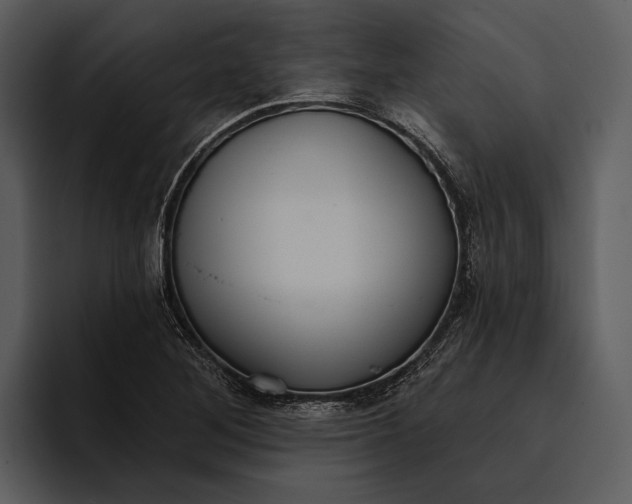 X0000095681268200801291150