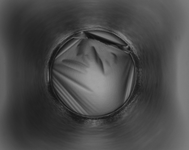 X0000095681269200801291150