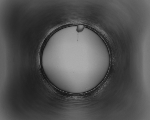 X0000095681272200801291149