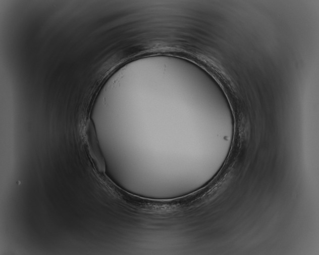 X0000095681273200801291149