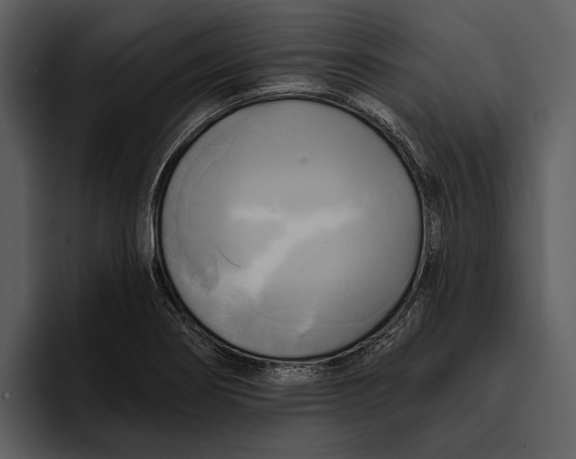 X0000095681274200801291149