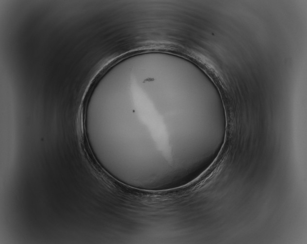 X0000095681275200801291149