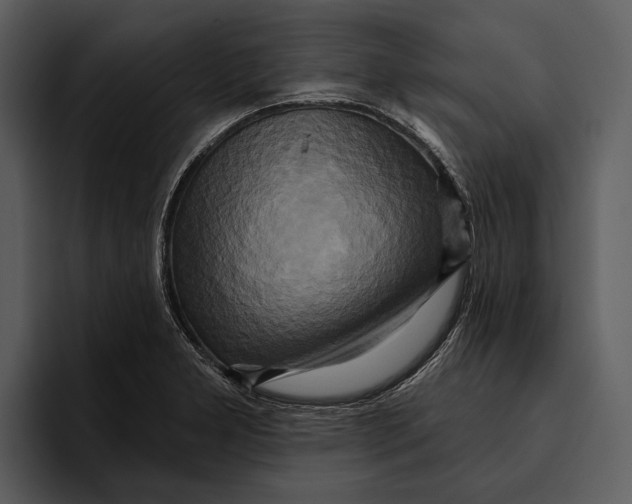 X0000095681277200801291149