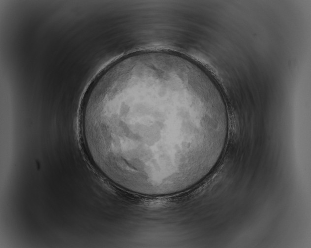 X0000095681278200801291149