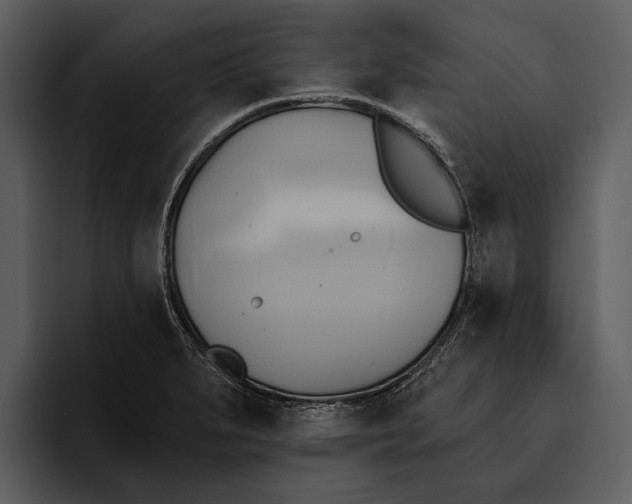 X0000095681279200801291149