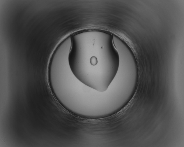 X0000095681280200801291149