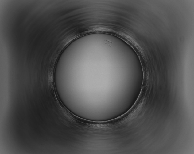 X0000095681281200801291149