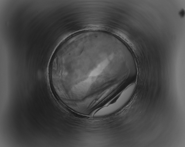 X0000095681283200801291149