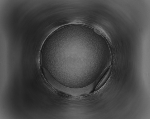 X0000095681284200801291149