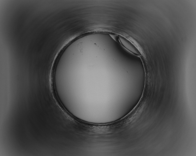 X0000095681285200801291149