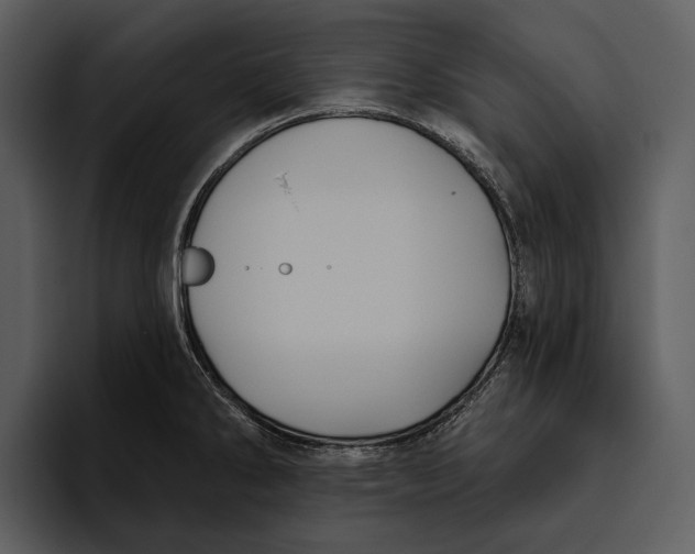 X0000095681286200801291149