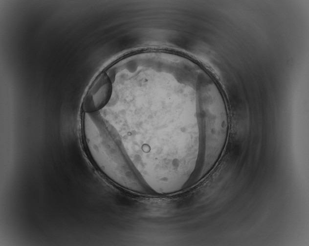 X0000095681287200801291149