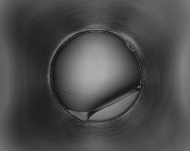 X0000095681288200801291149