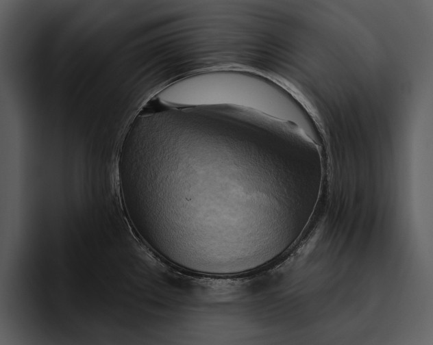 X0000095681289200801291149