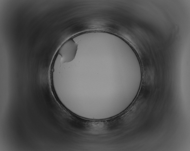 X0000095681291200801291149