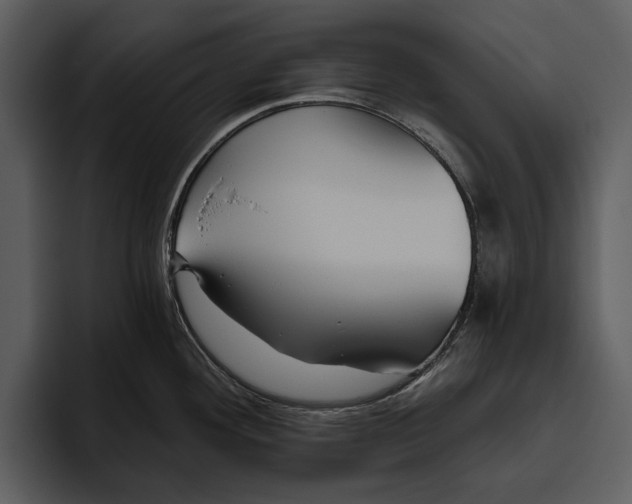 X0000095681292200801291149