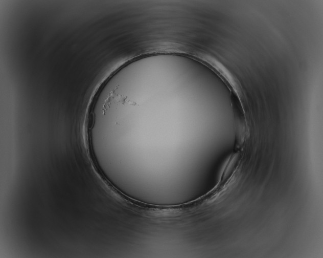 X0000095681293200801291149