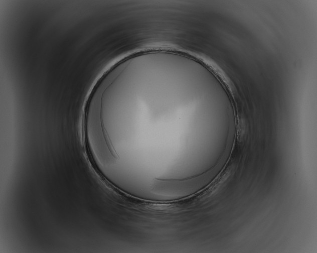 X0000095681295200801291149