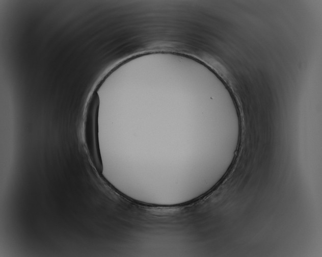 X0000095681296200801291149