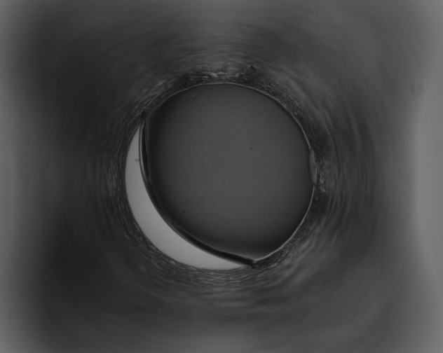 X0000095681298200801291149