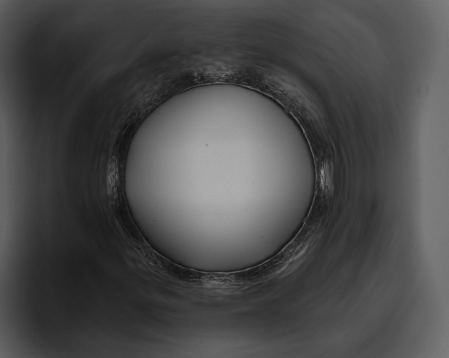 X0000095681299200801291149