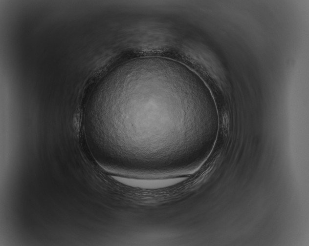 X0000095681300200801291149