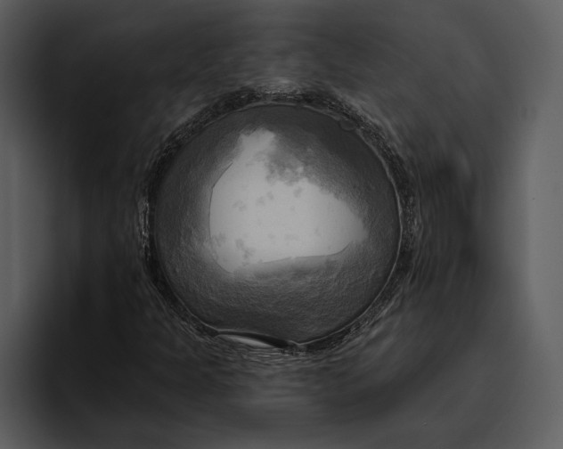 X0000095681301200801291149