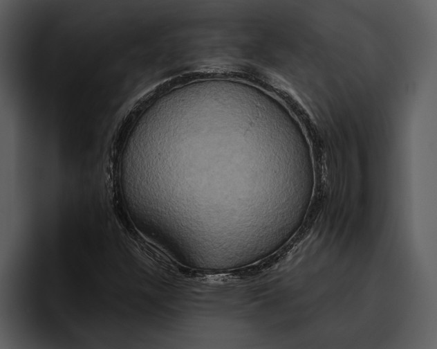 X0000095681304200801291149