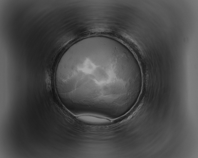 X0000095681305200801291149