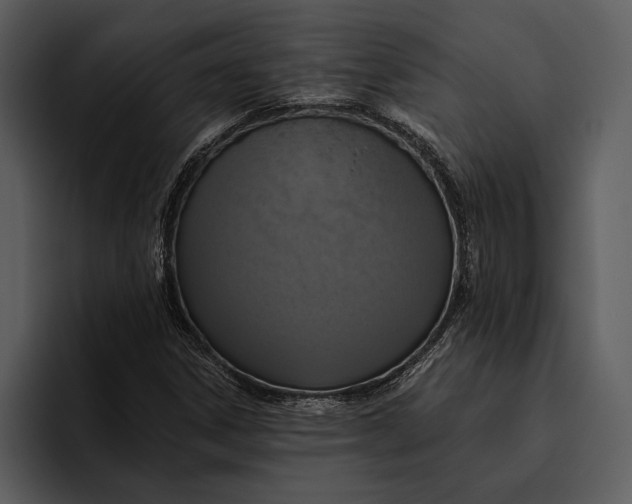 X0000095681306200801291149