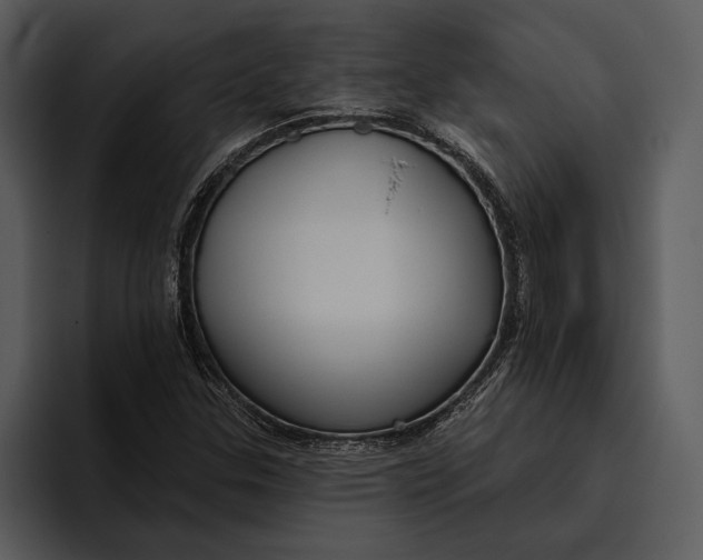 X0000095681307200801291149